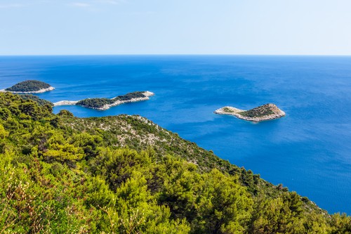 Adriatic landscape on Mljet island