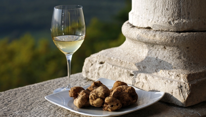 Wine and truffles in Istria, Croatia