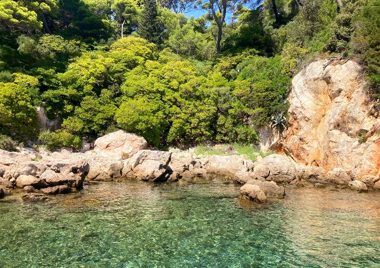 Lokrum island clear water and green trees