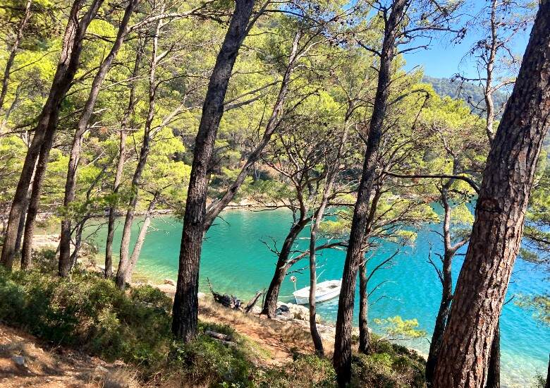 View of boat in Mljet saltwater lake with trees in the foreground