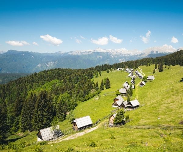 Pokljuka Plateau