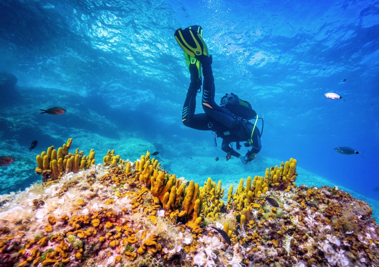 Scuba diver in Hvar with Mediterranean sponges